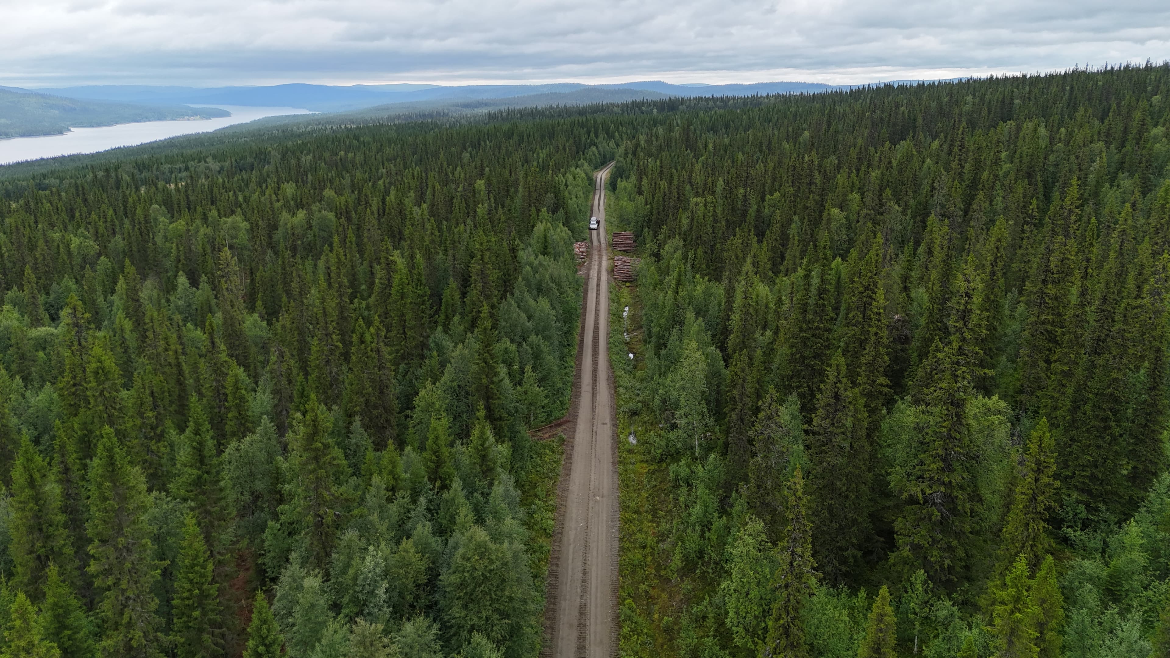 Gran- och tallskog
